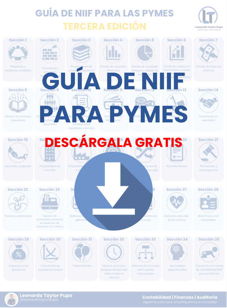 🎁 Guía de NIIF para las PYMES